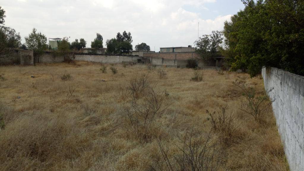 #GSCTT12462 - Terreno para Venta en Almoloya del Río - MC